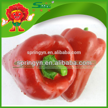 Bulk capsicum fresco embalado a vácuo cor pimenta